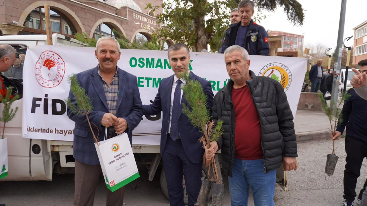 Osmancıkfidan (1)
