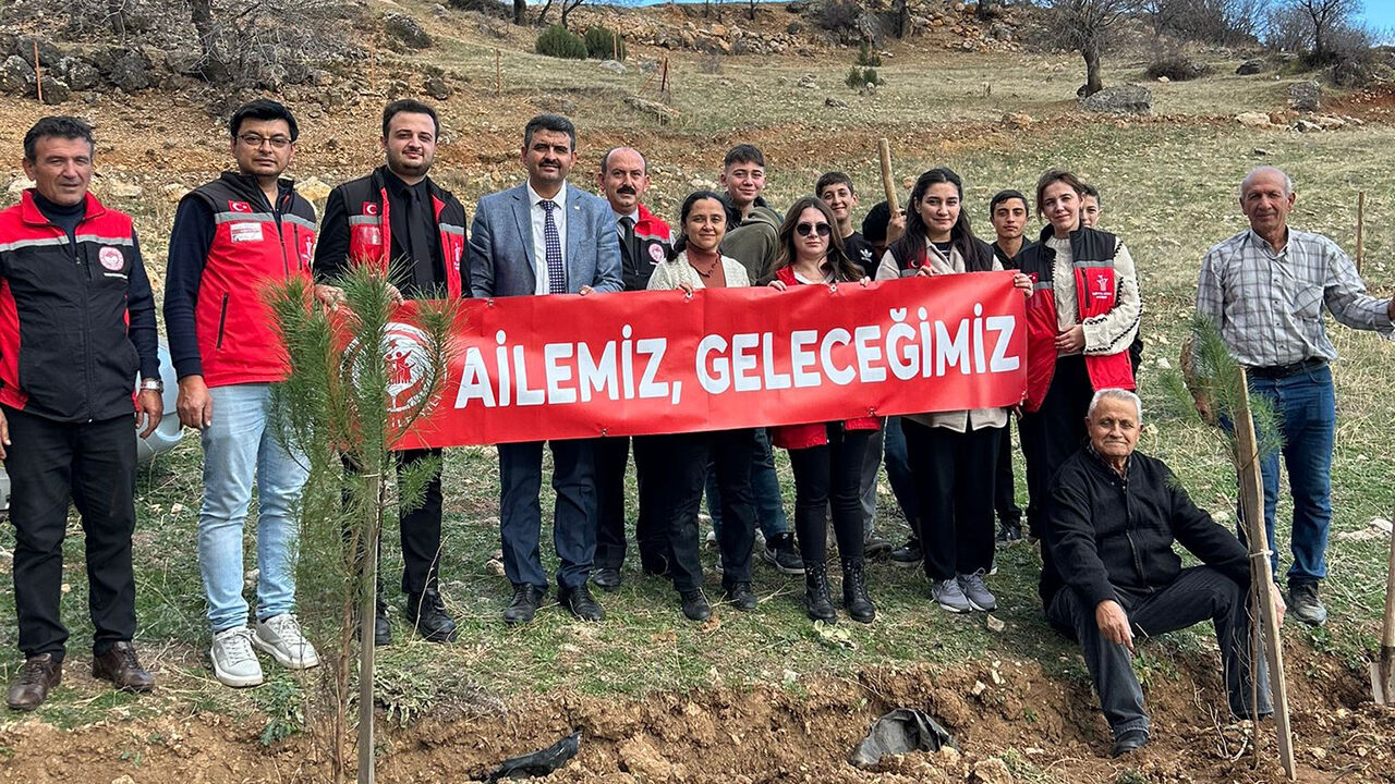 Osmancıkfidandikimi (4)