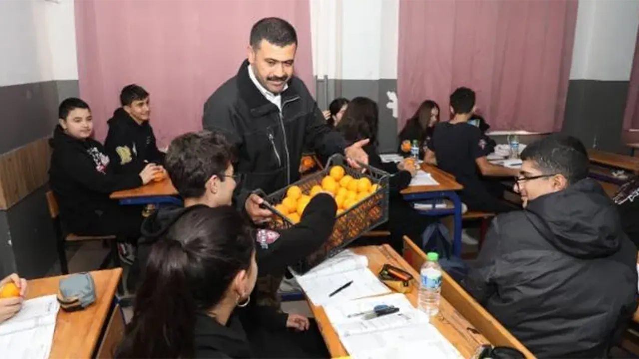 Kilosu 2 Liraya Düştü, Dalında Kaldı! Belediye Satın 320 Ton Mandalina Dağıttı 2