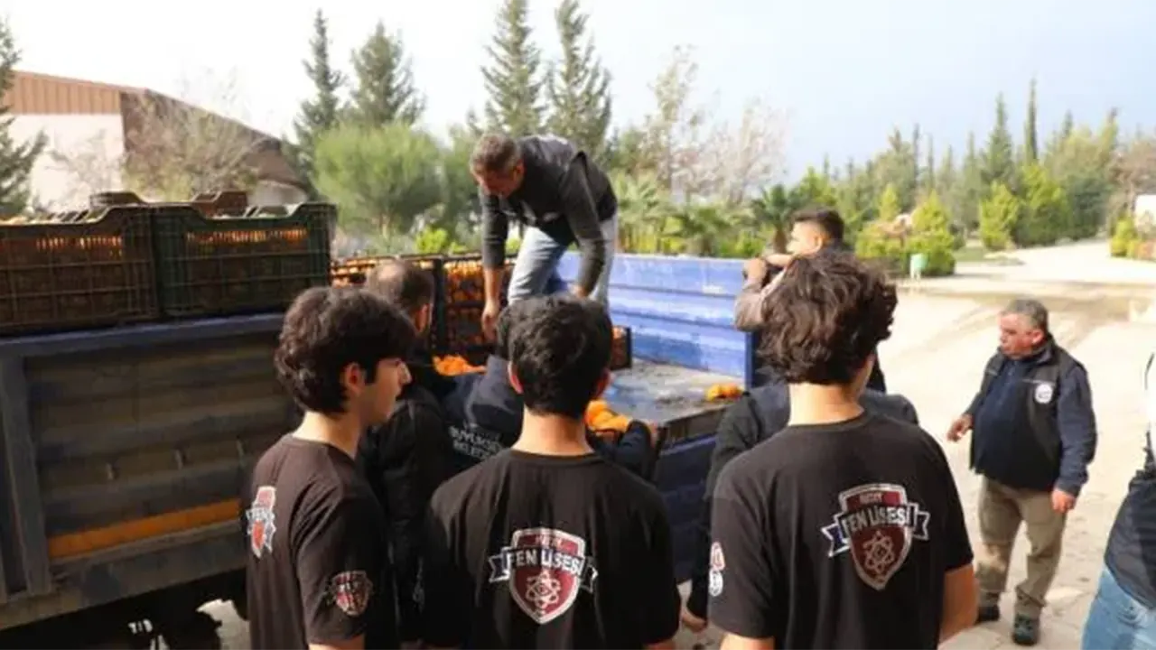 Kilosu 2 Liraya Düştü, Dalında Kaldı! Belediye Satın 320 Ton Mandalina Dağıttı