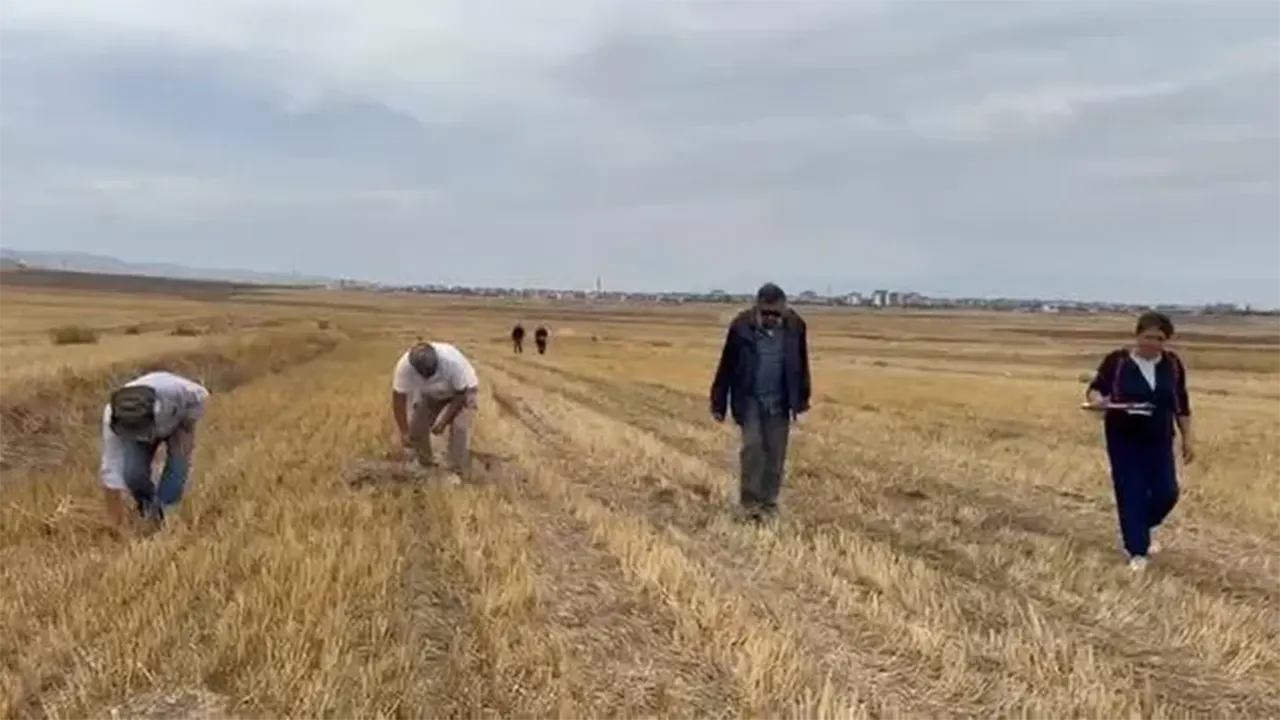 Merzifon Savaşı’na Dair Kritik Keşif Haçlı Ordusunun Izlediği Yol Tespit Edildi 3