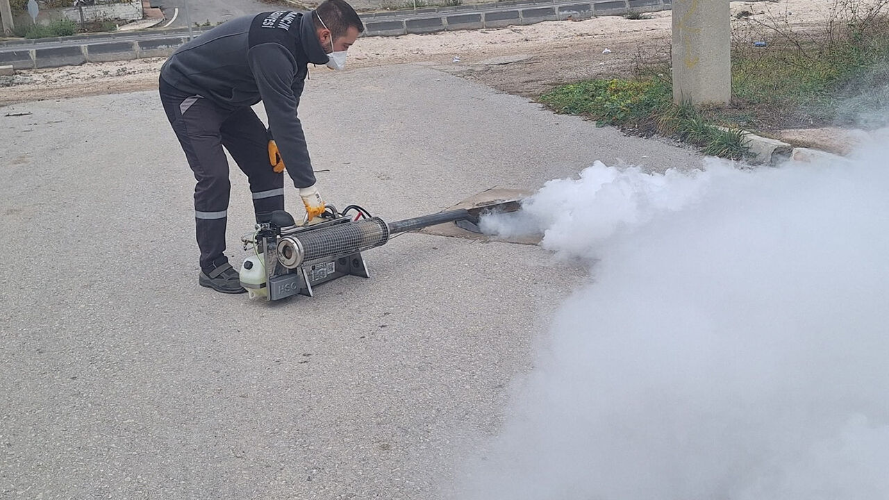 Osmancıksevrisinek (1)