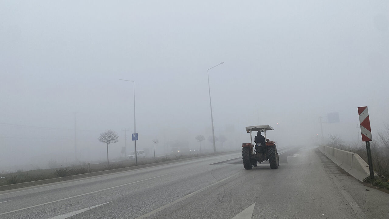 Osmancıksis (4)
