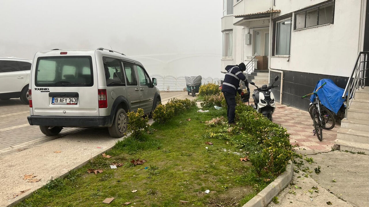 Osmancıktemizlik (2)-1