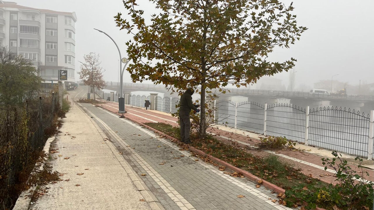 Osmancıktemizlik (3)-1