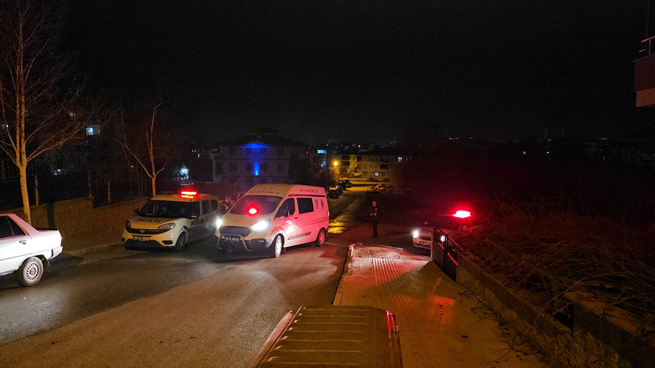 Silahlıcatısma (1)