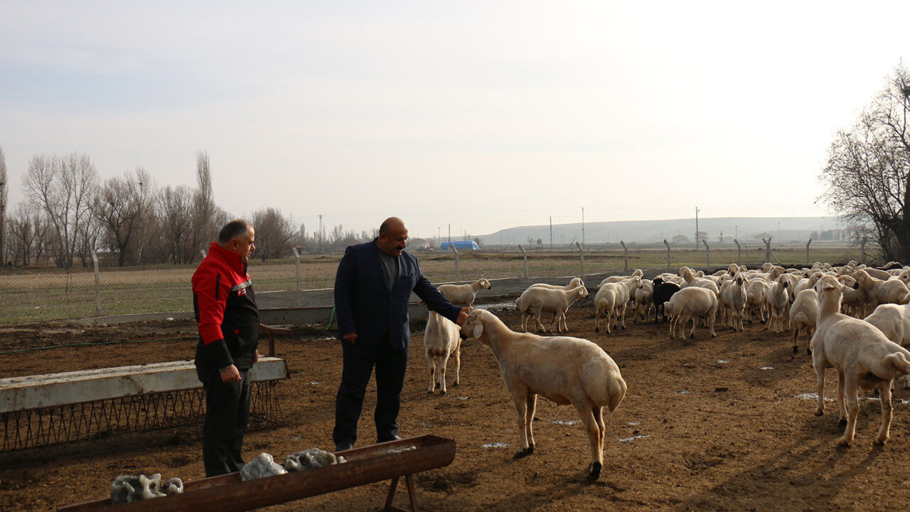 Tarım (2)-8