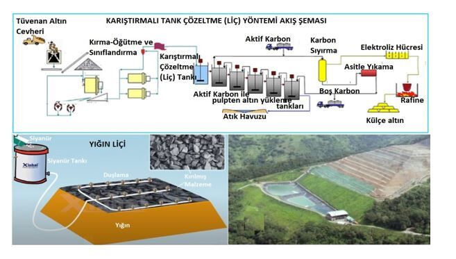 Vedatkose (8)