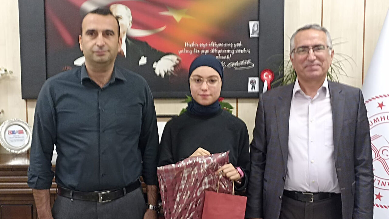 Yarısmaa (4)