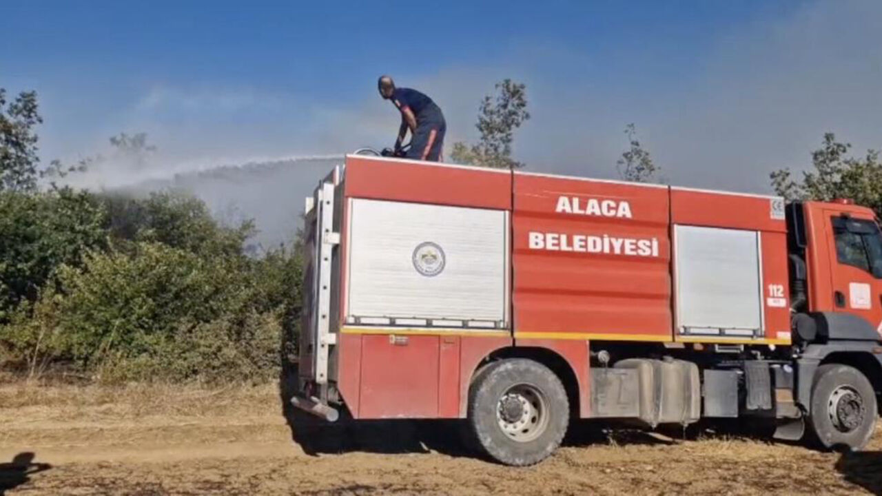 Alacaaa (3)