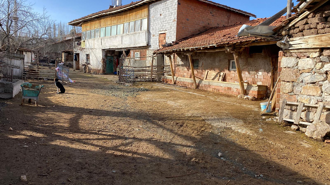 Alacabesicilikhayvan (2)