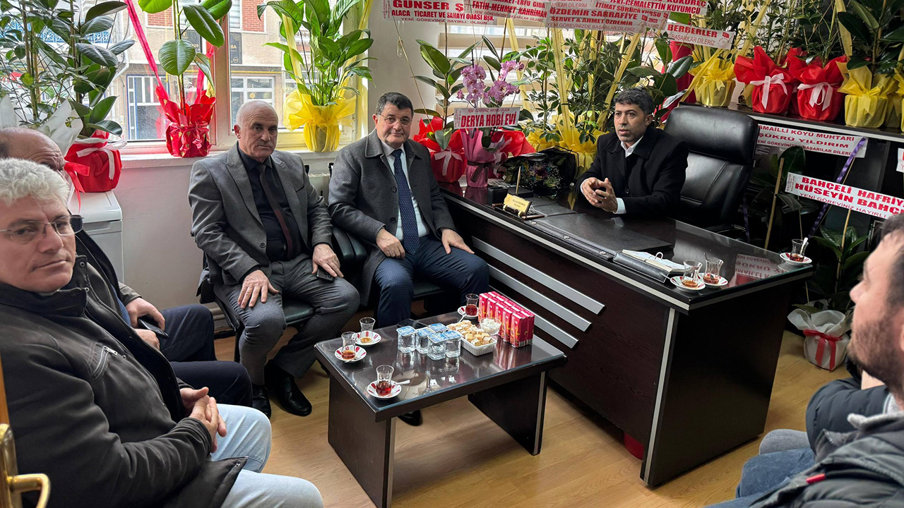 Bursalıdemirziyaret (2)