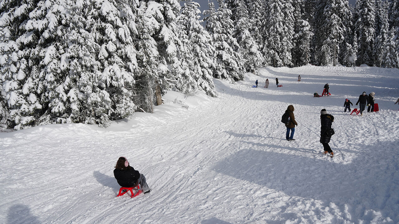Ilgaz (17)-1