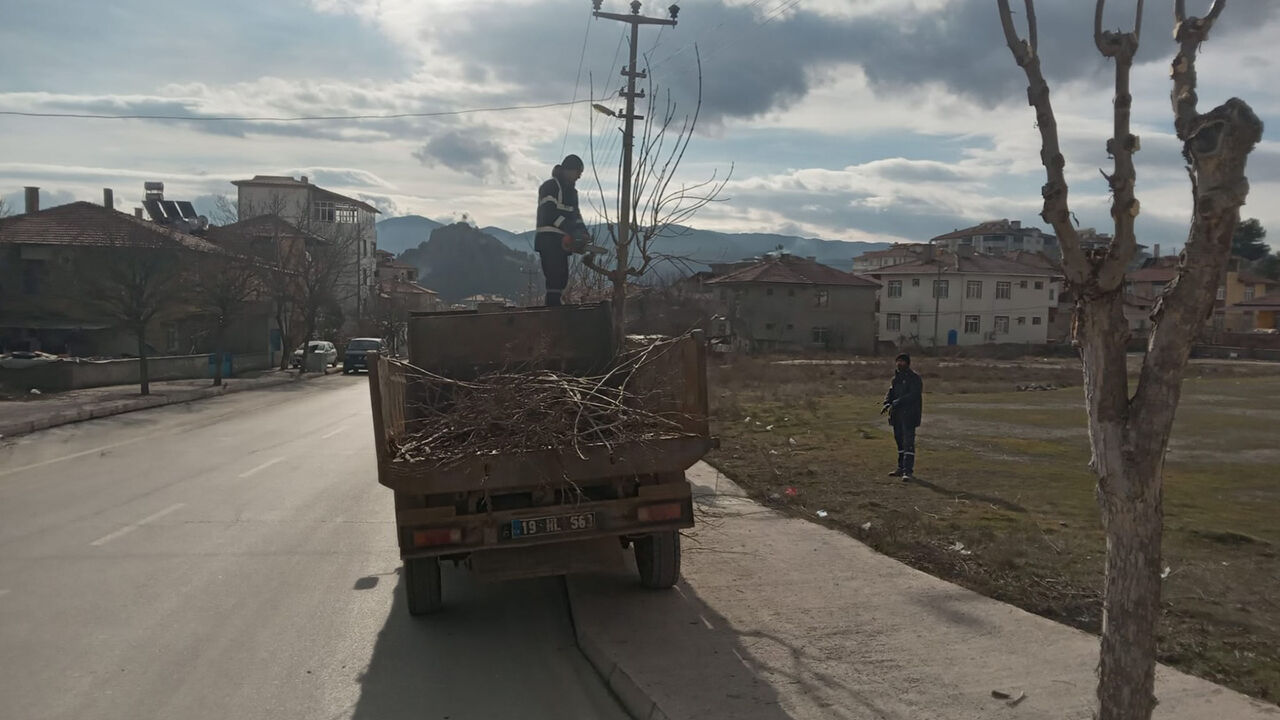 Osmancıkparkbahceonarım (3)