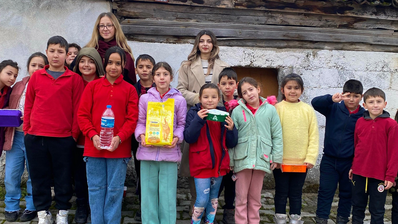 Sokakhayvanları (2)