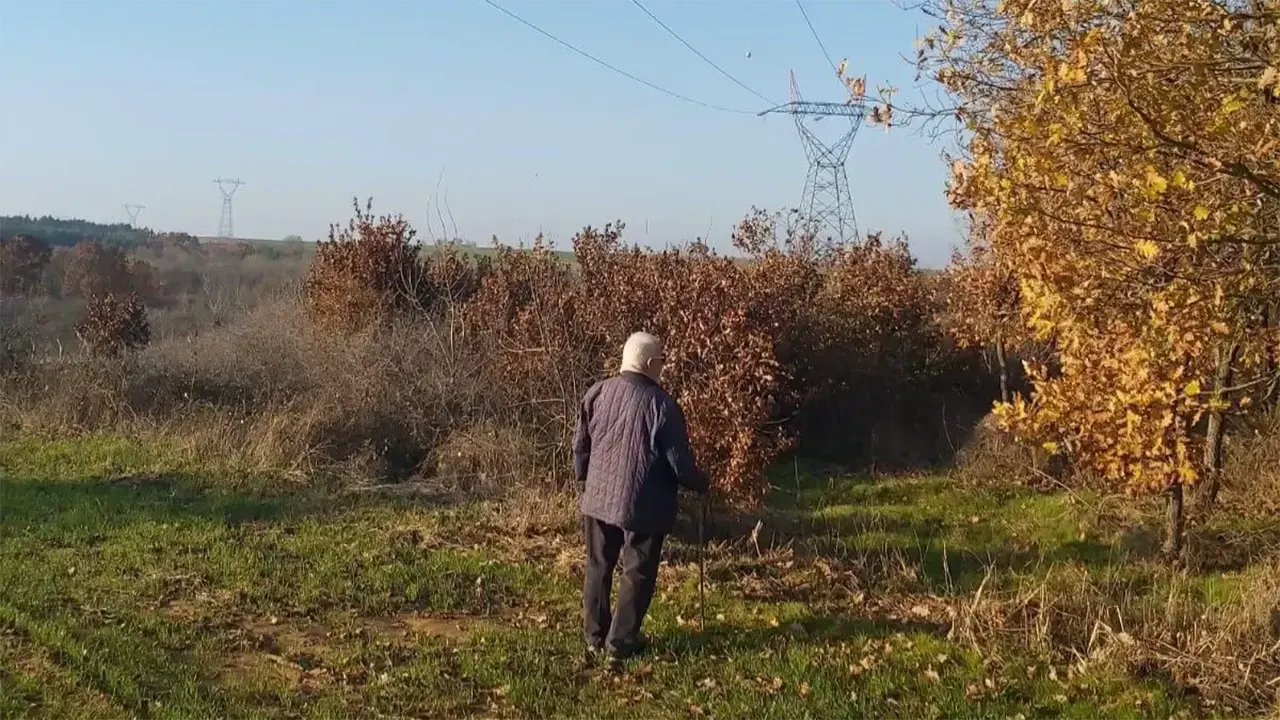 Yargıtay’dan Kamulaştırma Davalarında Emsal Karar 2