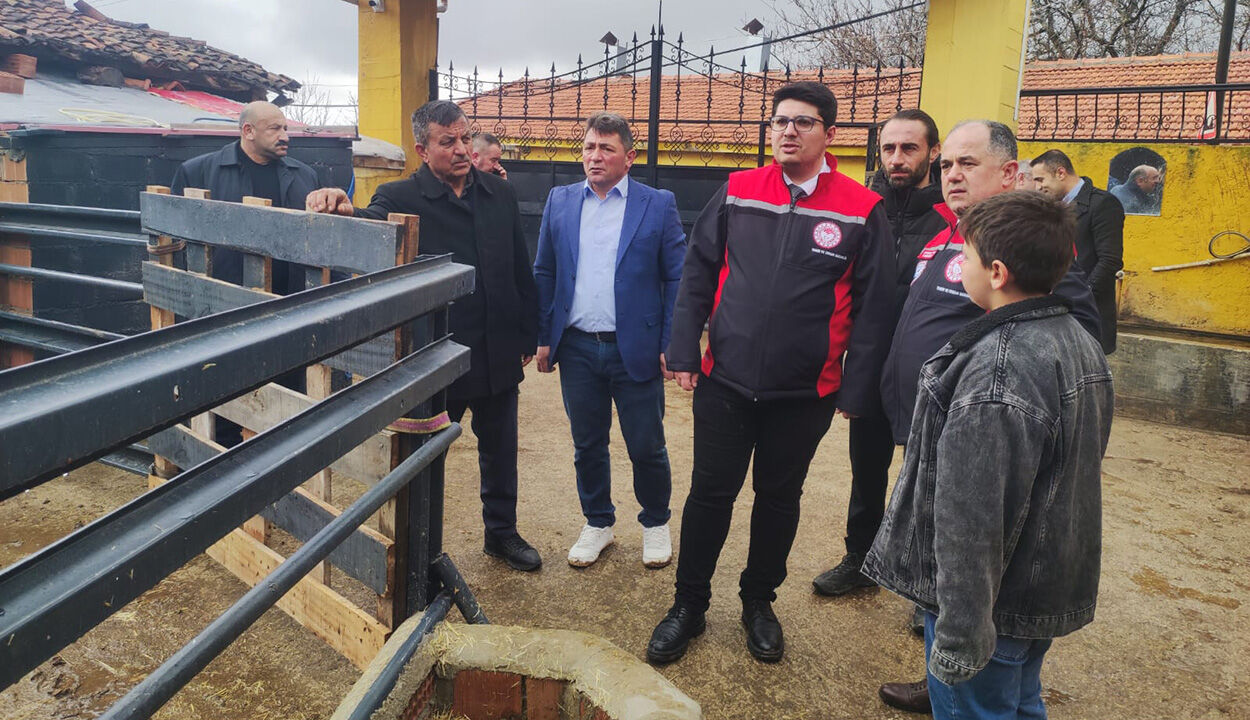 Hayvancılık1 (1)