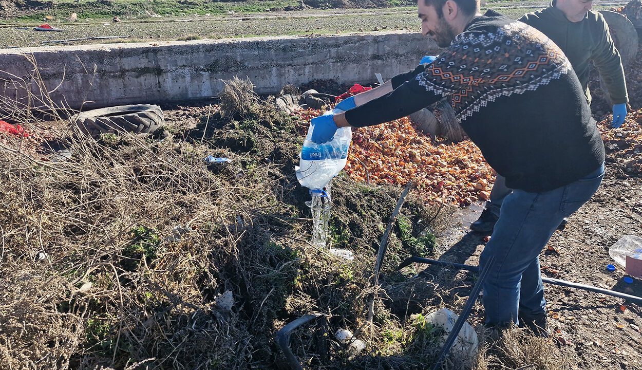 Kacakalkol (2)