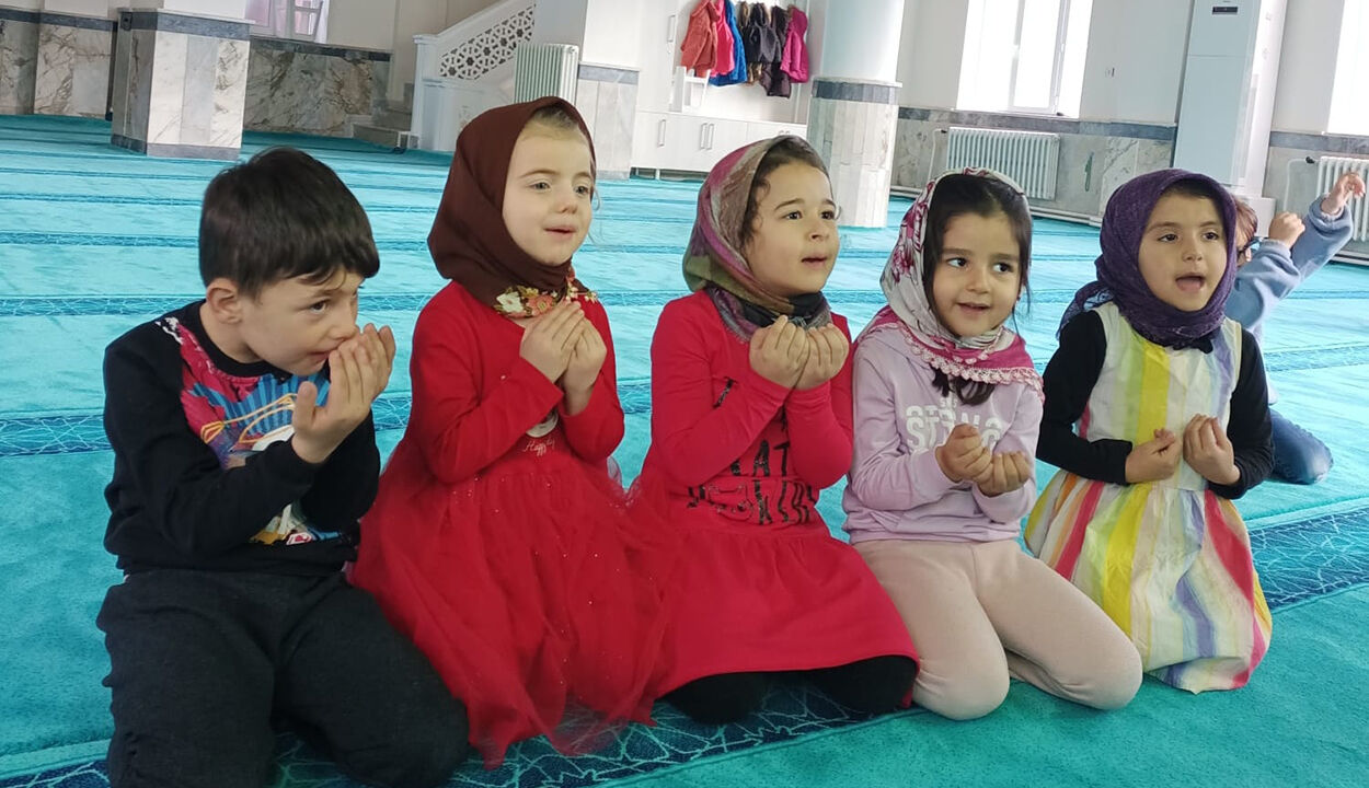 Kargıtekneorucu (2)