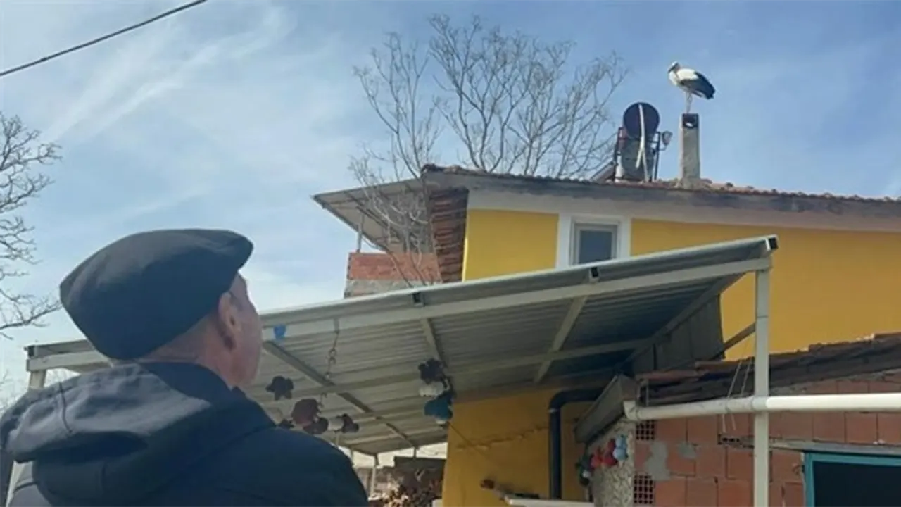 Milyonların Gözü Bu Yuvada Yaren Leyleğin Eşi 24 Şubat'ta Döndü 2
