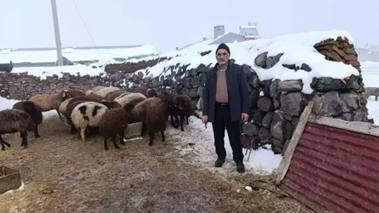 Öğrenciler Kumbaralarını Açtı Mağdur Besiciye 111 Koyun Verildi3