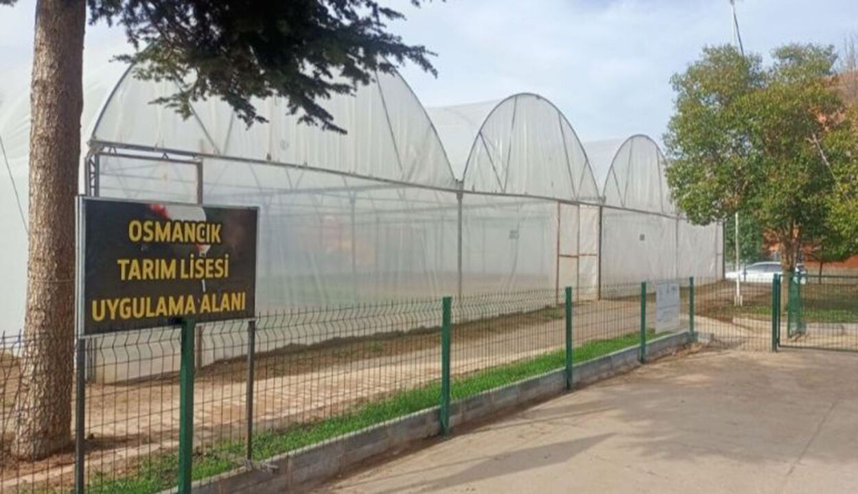 Osmancıkkuskonmaz (3)-1