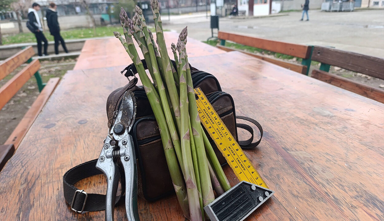 Osmancıktarımlisesi (4)