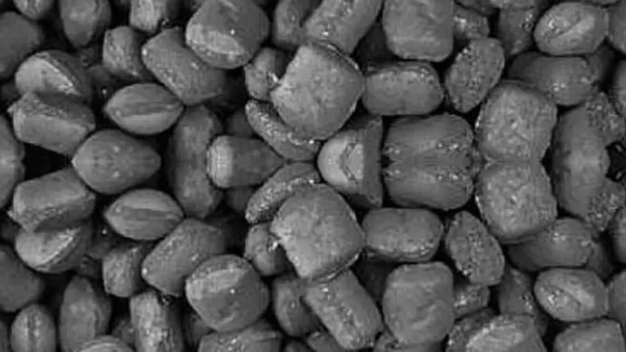 Kargı Orman İşletme Müdürlüğü İthal Portakal Cinsi Kalorifer Kömürü Alacak