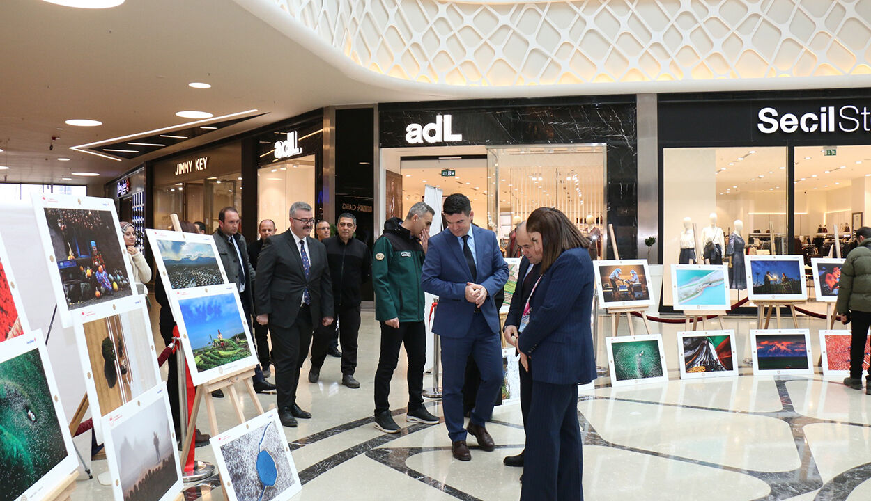 Sergiacılıs (2)