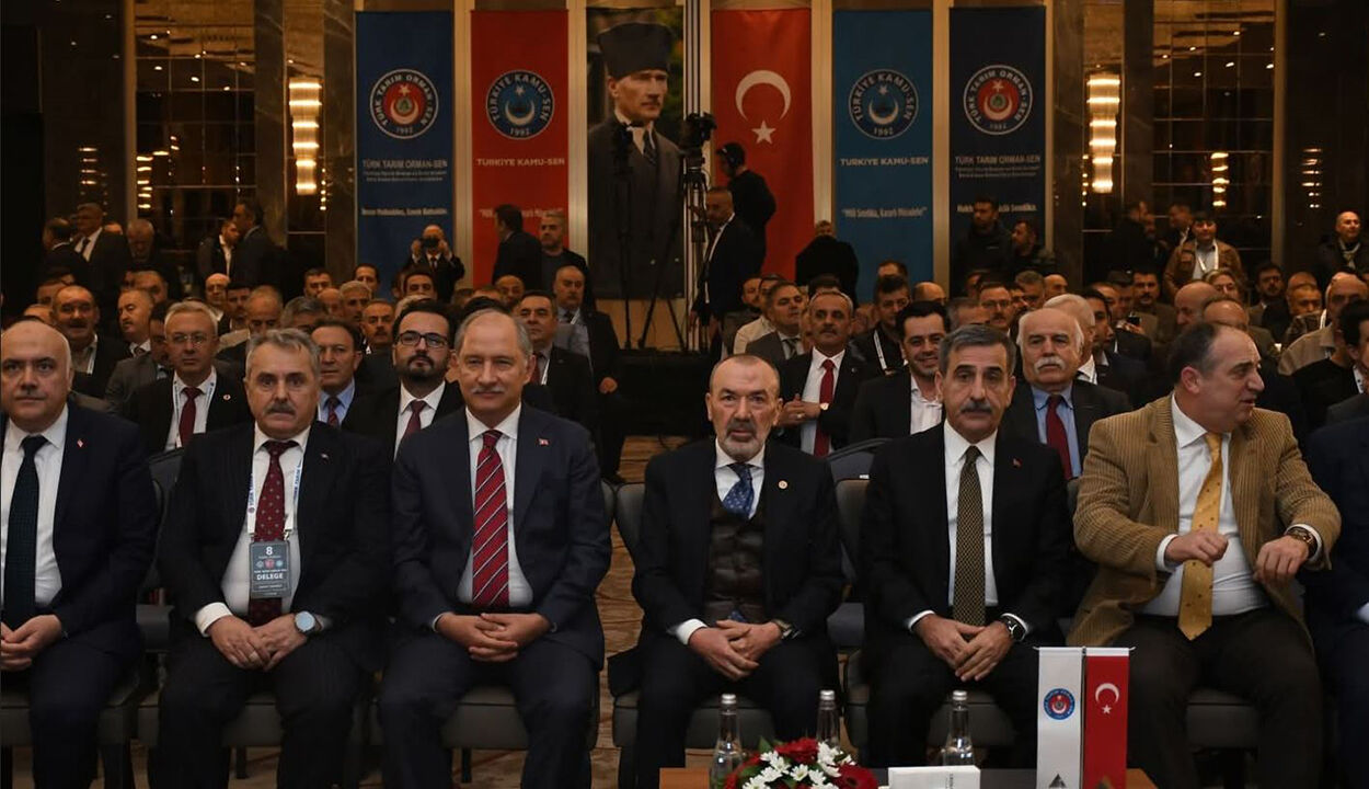 Turktarımormansenburakdolcu