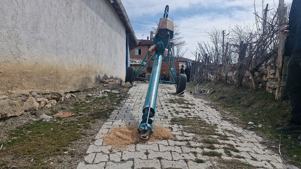 Alacagocuk (1)