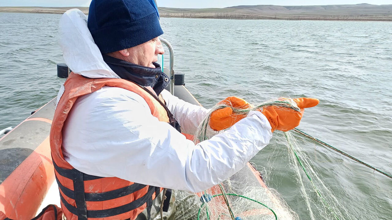 Alacasuurunleri1 (1)