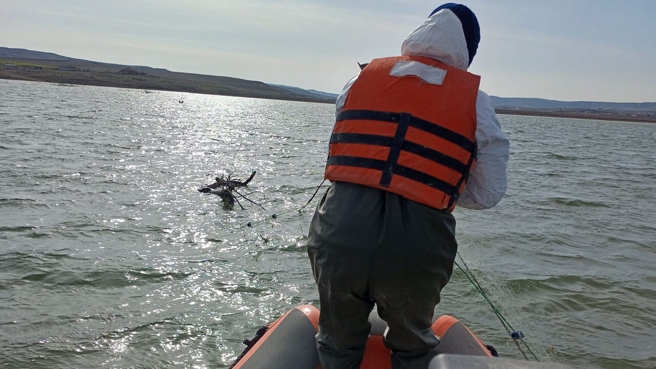 Alacasuurunleri1 (2)