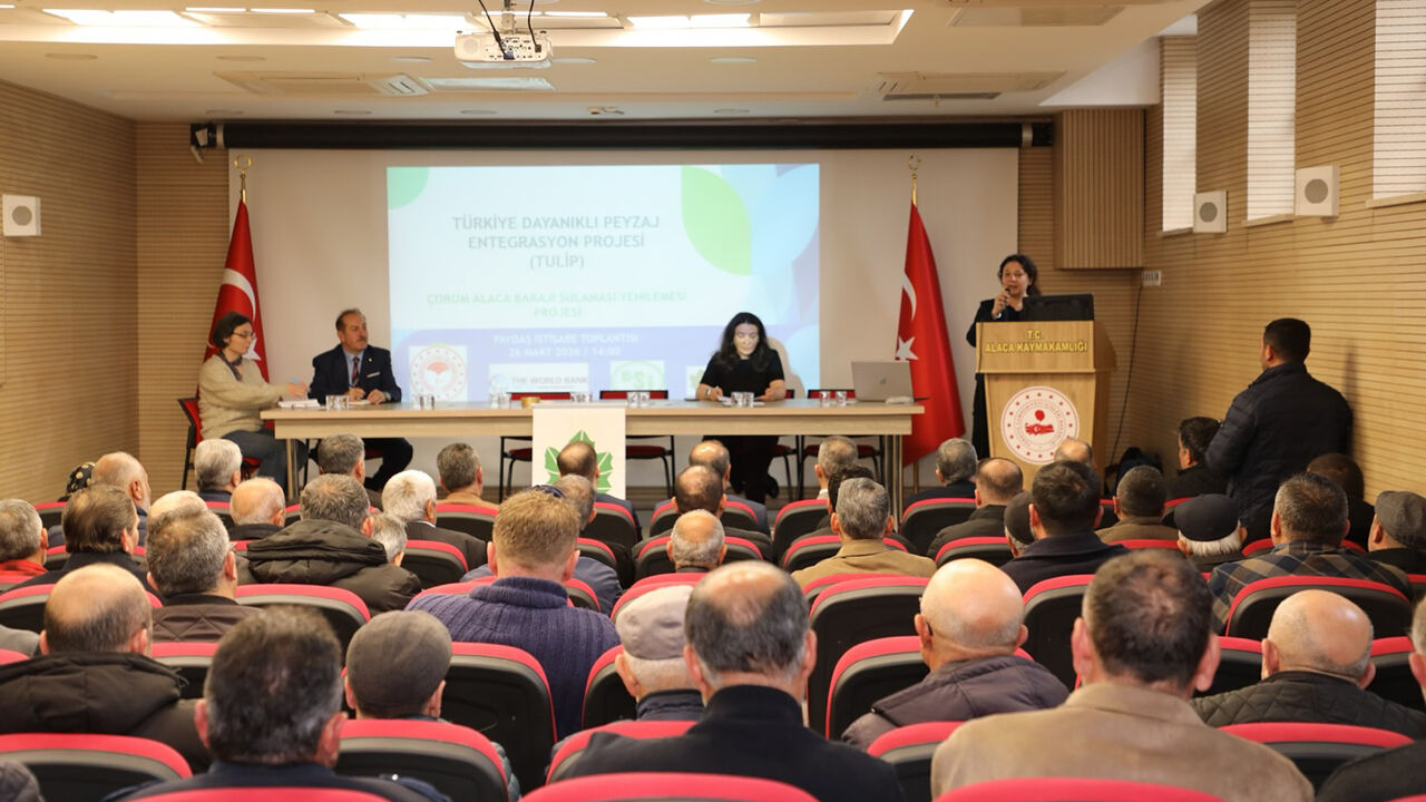 Alacatoplantı (2)-1