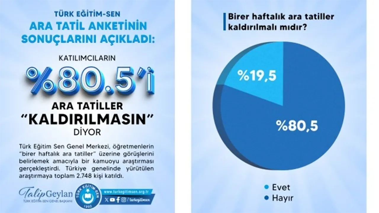Ara Tatil