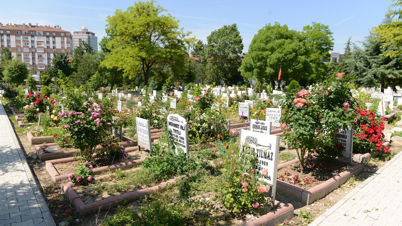 Bayrakkarsılama (1)