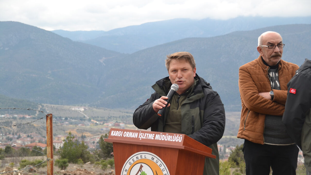 Kargıfidandikimi (1)-1