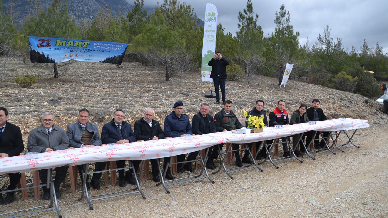 Kargıfidandikimi (2)-1