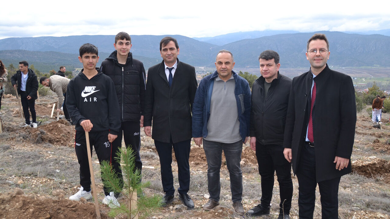 Kargıfidandikimi (5)