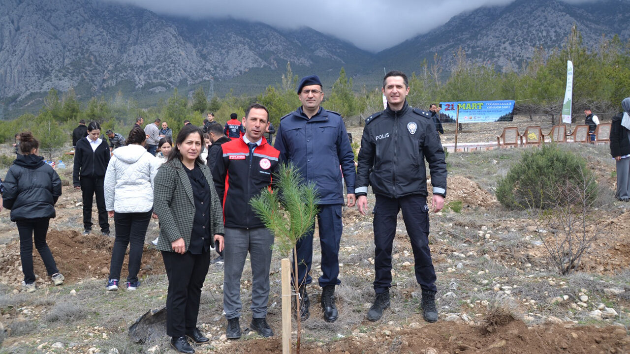 Kargıfidandikimi (6)