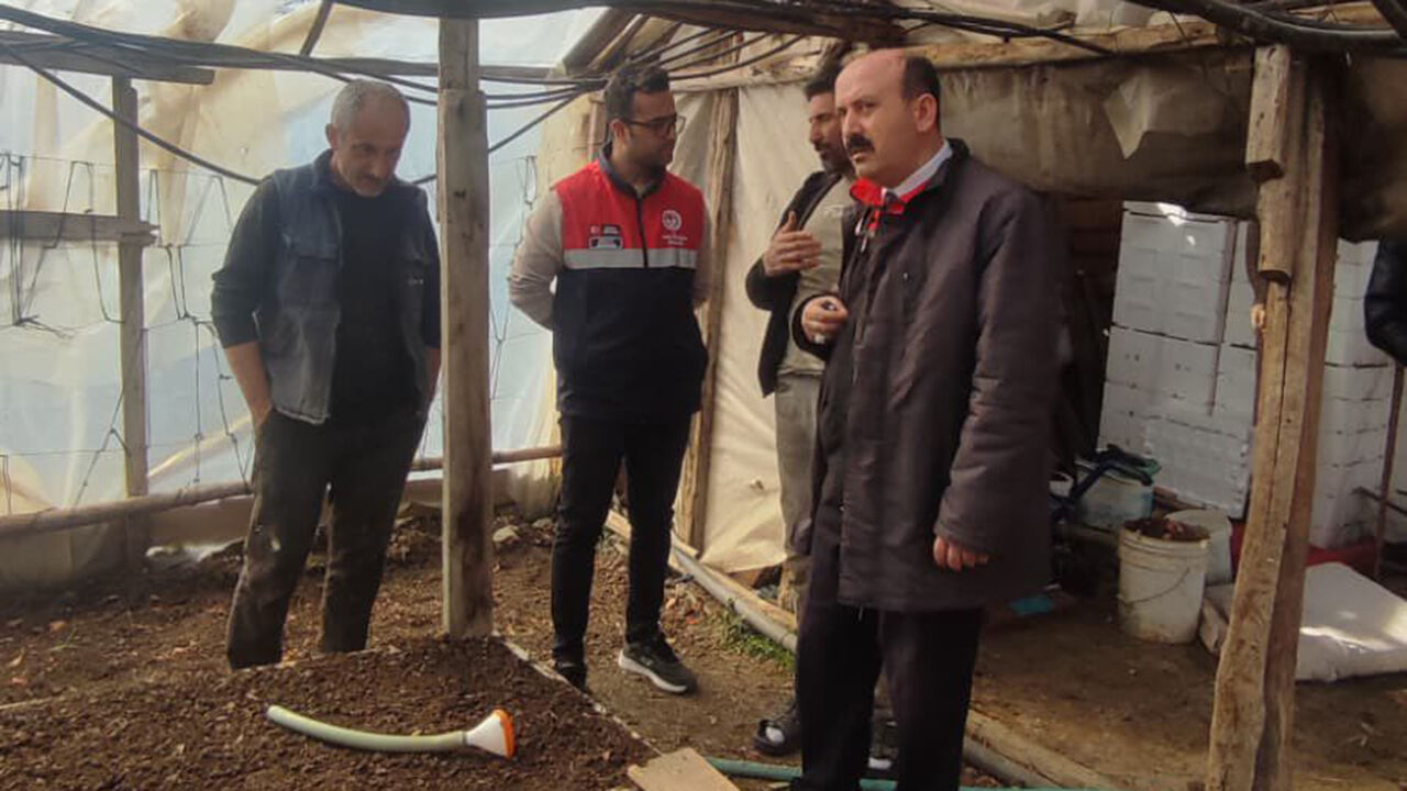 Osmancıksera (1)-1
