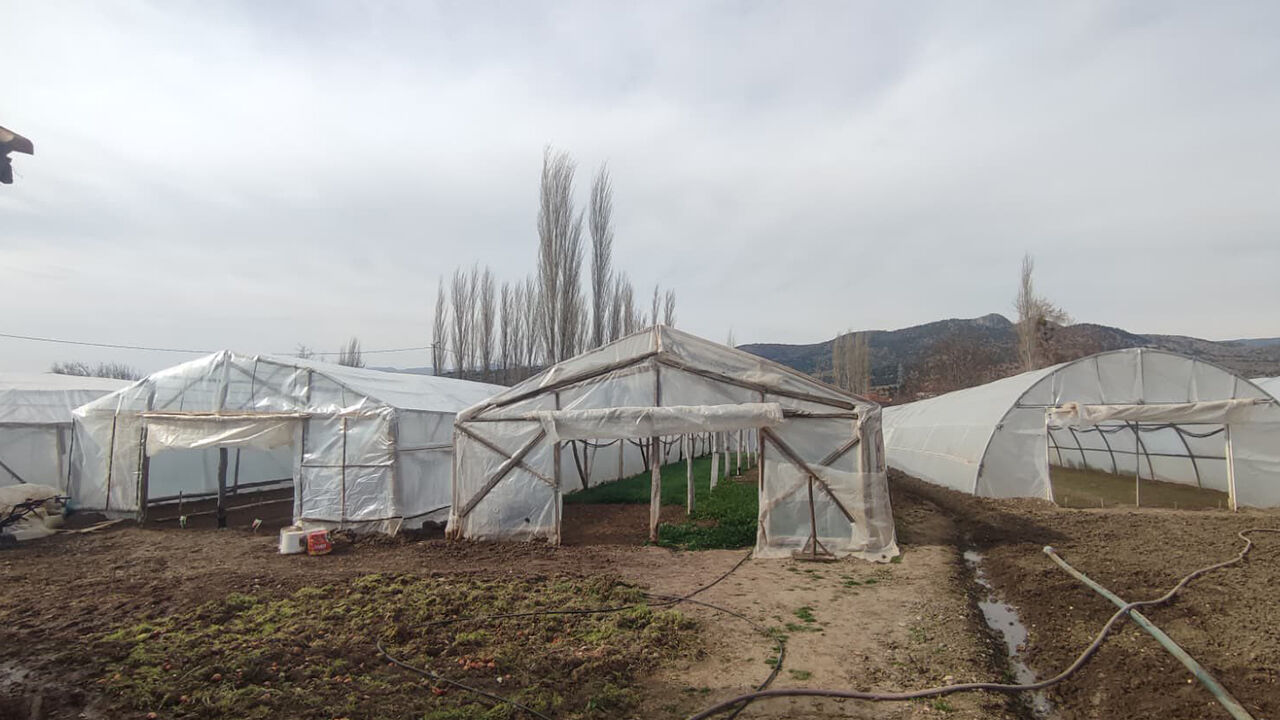 Osmancıksera (2)-2