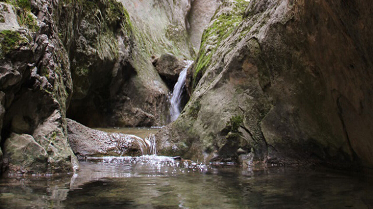 Selalesusuz