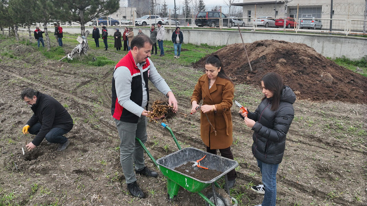 Tarım (2)-10