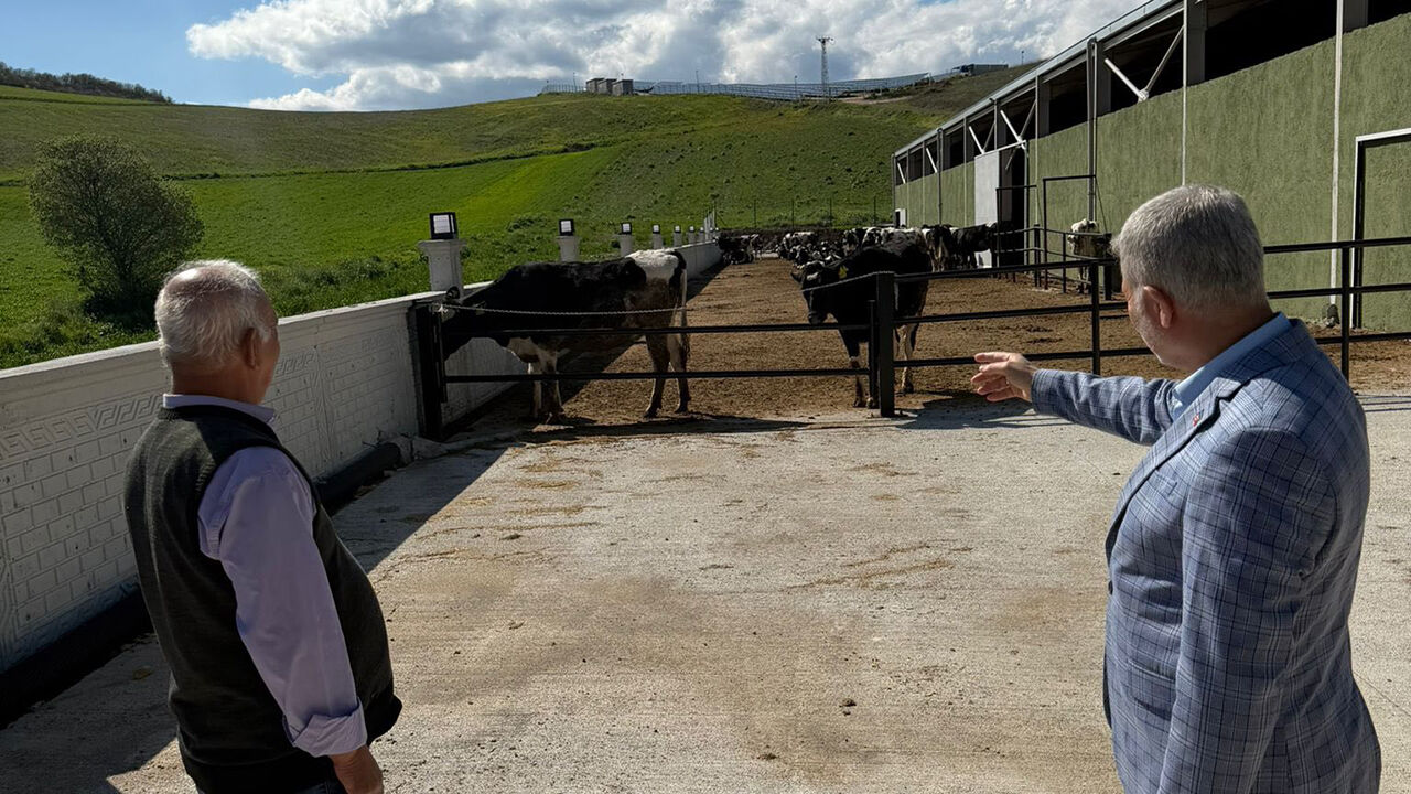 678341536 122182486760751248 4530885039392106205 N