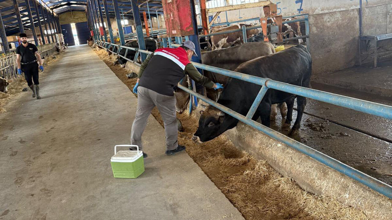 678762048 122231543354108366 2941807080523813006 N