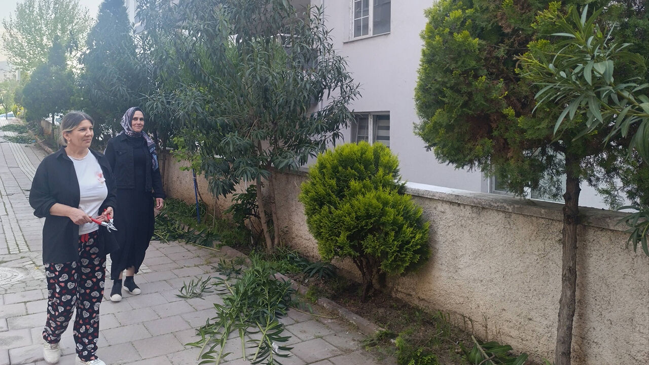 681232595 1560933086038279 8897824591836875486 N