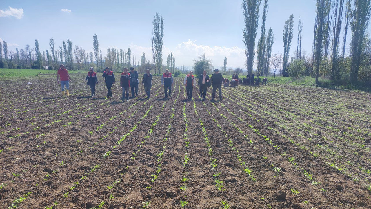 682063469 122232071846108366 5928697200549186497 N