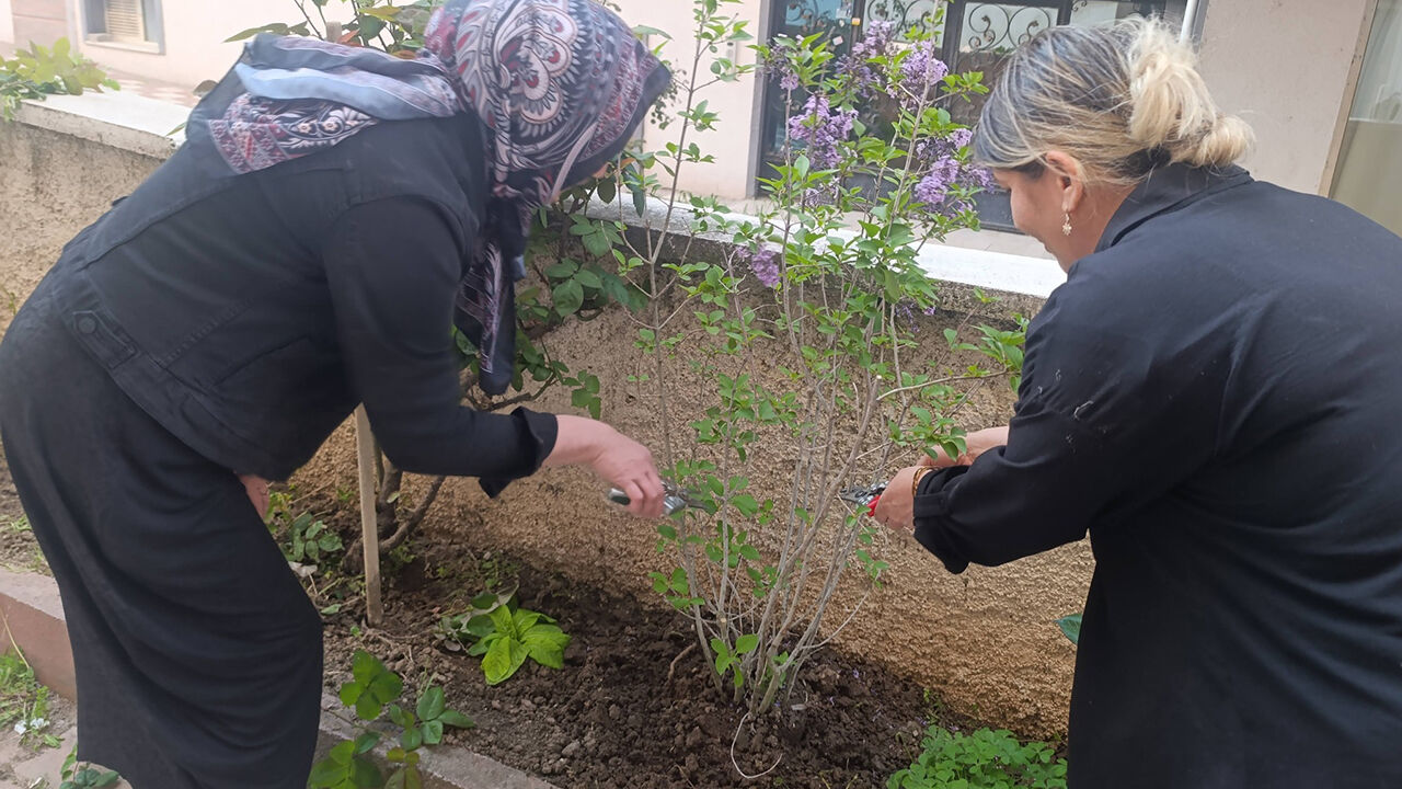 683091768 1560932909371630 321475655642434782 N