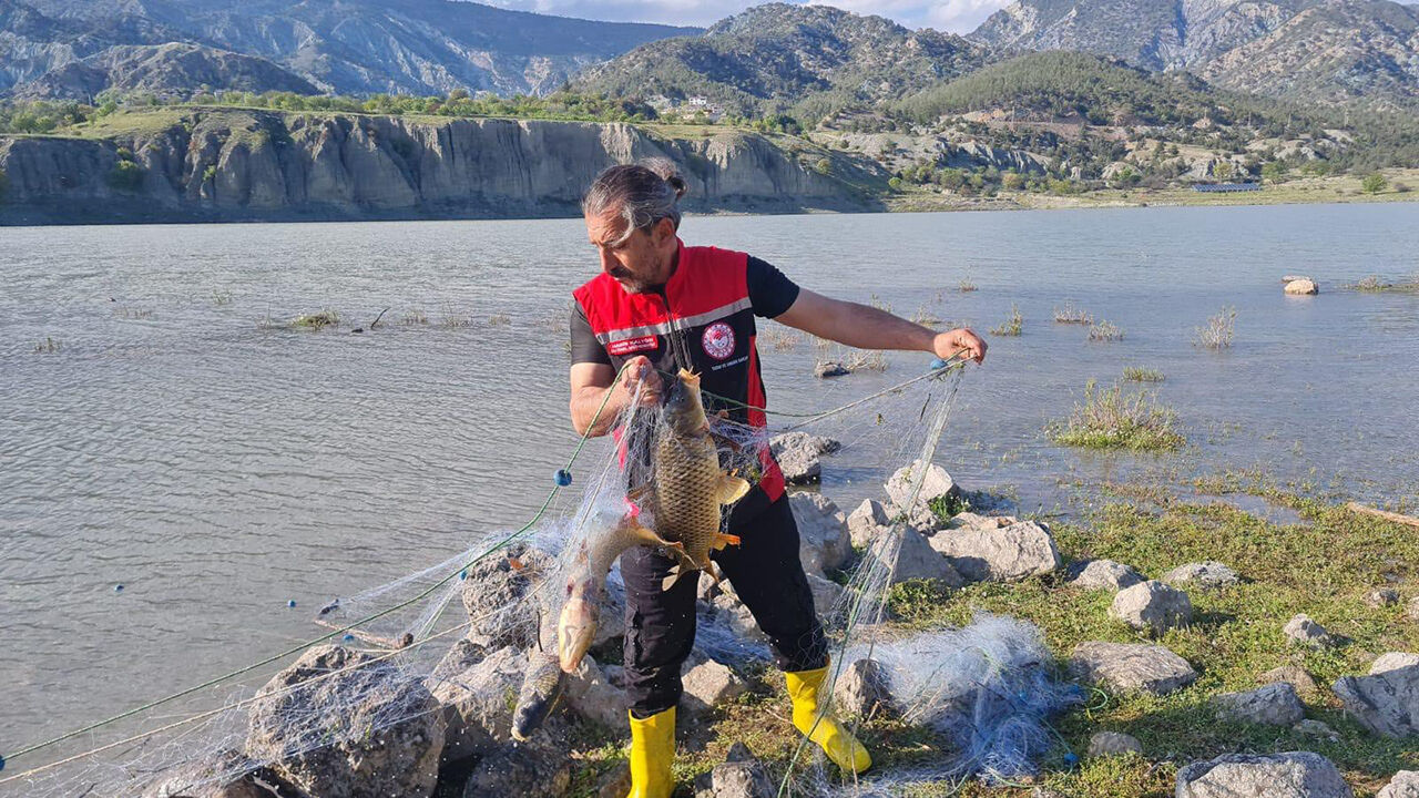 683741821 122232150590108366 2509164620899990336 N